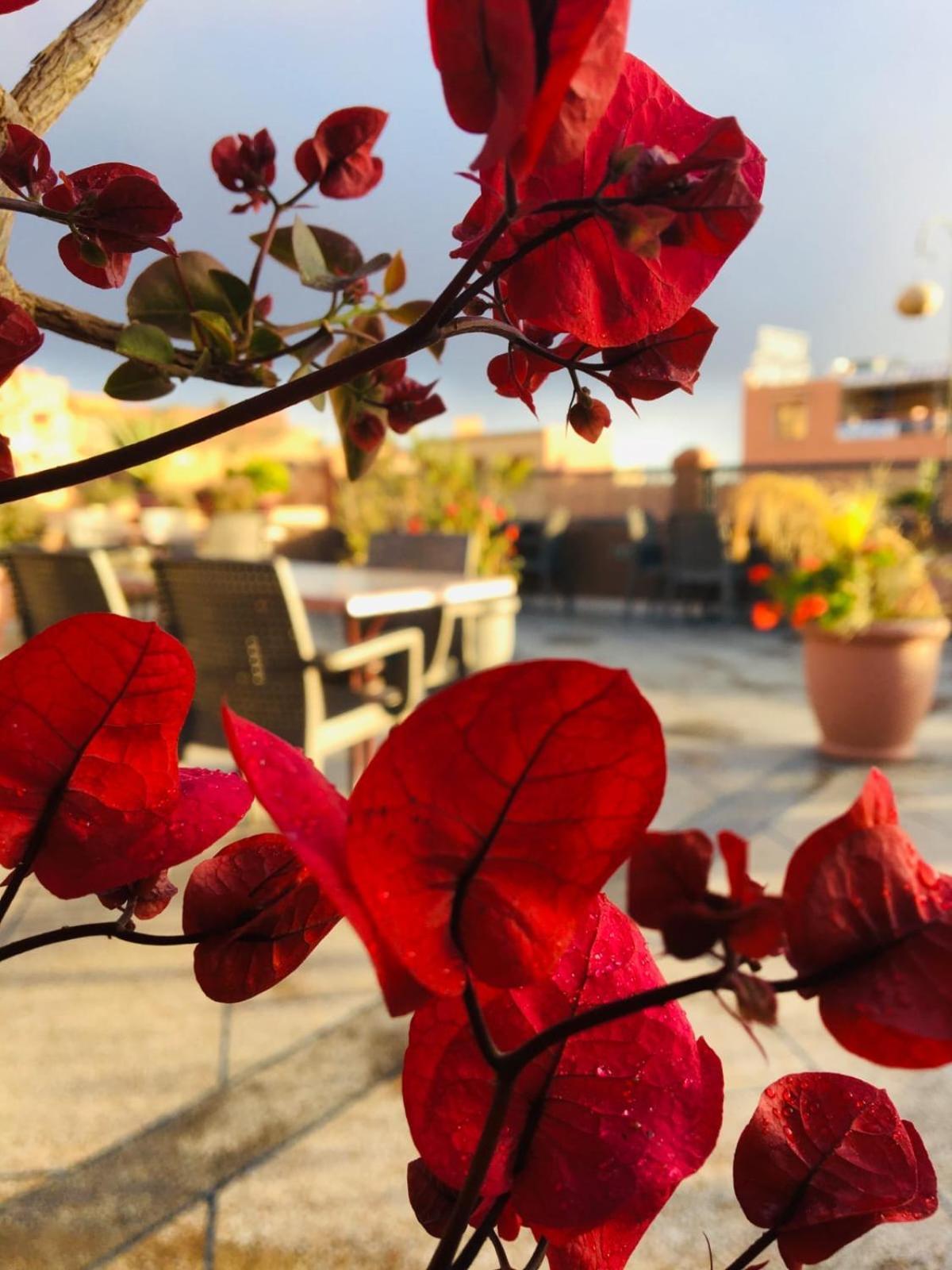 Hotel Riad Atlas Dades Boumalne Eksteriør billede